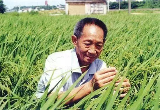 一日三餐，米香彌漫，飽食者當(dāng)憶袁公！