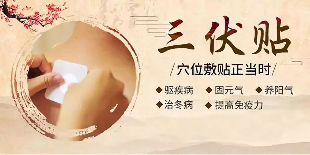 關(guān)于三伏貼，你了解多少呢？