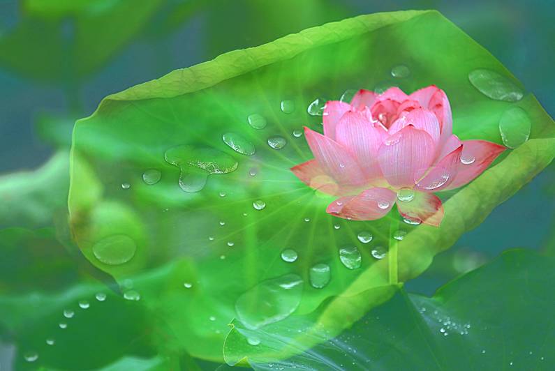 醫(yī)療器械網(wǎng)：失眠該怎么辦？